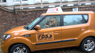 Fake Driving School until the instructor pops out don't we fuck off ?
