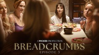 Sensitive lesbian adventure in the Wicked studio when Lexi Luna and a red-haired beauty first met