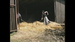 Dina Pearl, a csábos milf tüzes szopásban a pajtában
